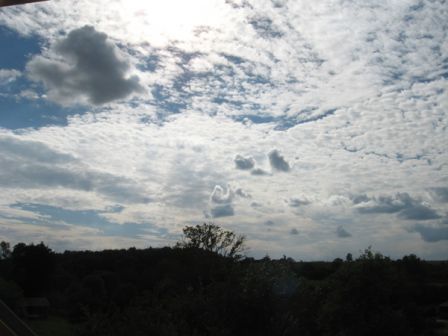 IMG_6965.jpg