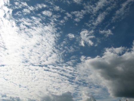 IMG_6968.jpg