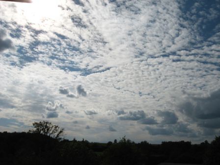 IMG_6969.jpg