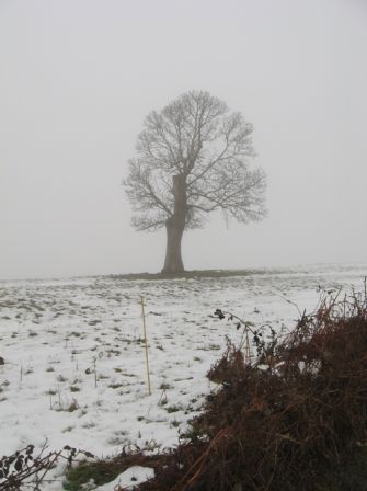 IMG_0110.JPG