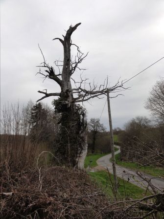 DSC00493_copie.jpg